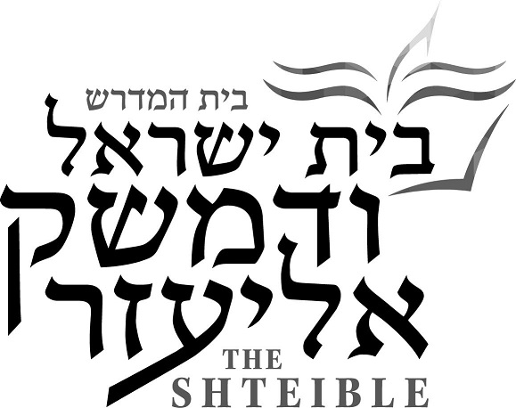 Shteible Logo